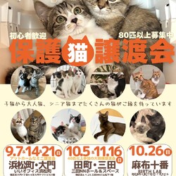 みなとねこ保護猫譲渡会＠いいオフィス浜松町