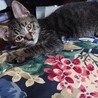 タケちゃんです、キュート サムネイル2
