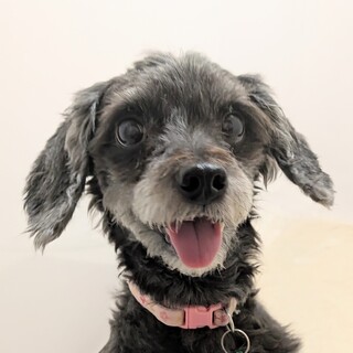 甘えん坊でとっても陽気！ラオくん♪