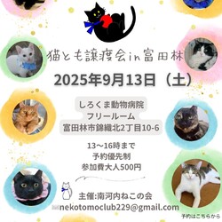 猫とも譲渡会in富田林 サムネイル1