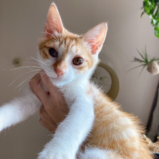 性格二重丸！甘えん坊のぽぽくん