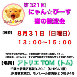 譲渡会 にゃん☆ぴーす猫の譲渡会【都賀･アトリエTOM】