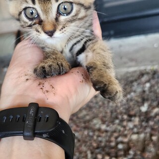 遊び盛りの元気な女の子です！