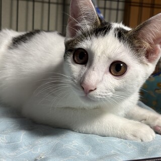 甘え方は天下一品❗️可愛い性格の男の子