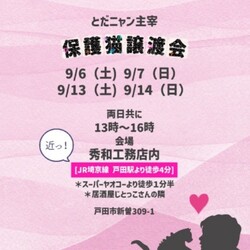とだニャン保護猫譲渡会