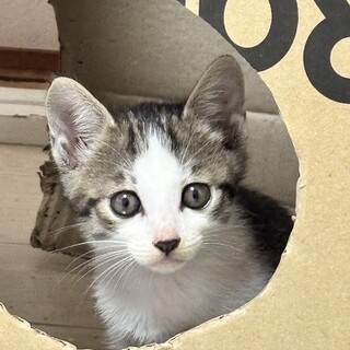 好奇心旺盛な千夏ちゃん