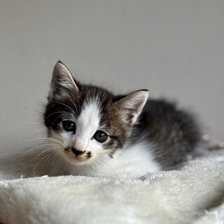 可愛すぎる湊くん