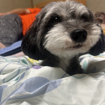 の写真