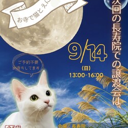 猫房えにしの保護猫譲渡会@長寿院