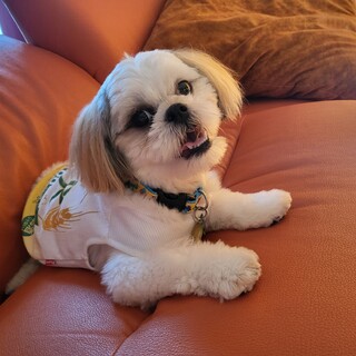 仮名：かずおくん