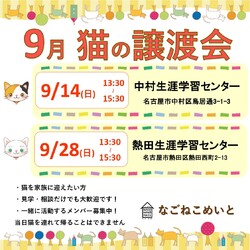 なごねこめいと　猫の譲渡会