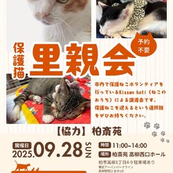 柏斎苑保護ねこ里親会