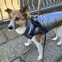 リタ