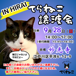 【第16回】てらねこ譲渡会
