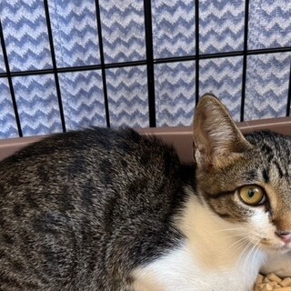 朔(さく)ちゃん