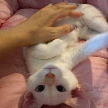 トライアル初日からヘソ天