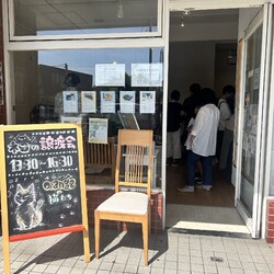 orangeの猫たちの譲渡会in大倉山 サムネイル3