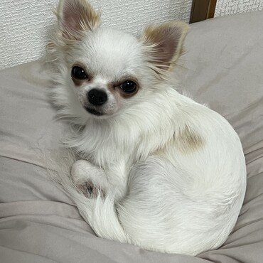 1歳になりました。
