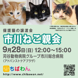 9/28(日)ちばわん市川ねこ親会