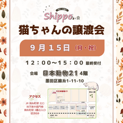 ひらこましっぽの譲渡会（錦糸町 日本動物21）