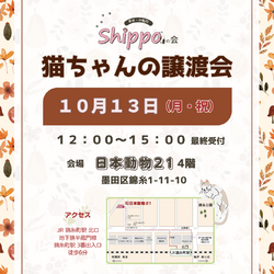 ひらこましっぽの譲渡会（錦糸町 日本動物21）