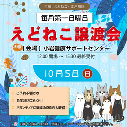 えどねこ譲渡会 江戸川区保健所（小岩健康サポートセンター）