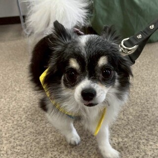 ちょっぴり怖がりさんの甘えん坊さん♡