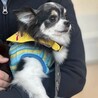 ちょっぴり怖がりさんの甘えん坊さん♡ サムネイル3