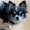 ちょっぴり怖がりさんの甘えん坊さん♡ サムネイル4