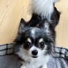 ちょっぴり怖がりさんの甘えん坊さん♡ サムネイル5