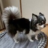 ちょっぴり怖がりさんの甘えん坊さん♡ サムネイル6