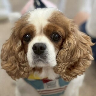 ニコニコ笑顔の可愛い甘えっ子の女の子