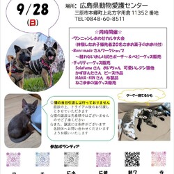 保護犬ねこの譲渡会