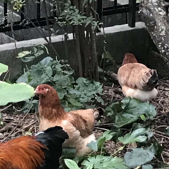 祐二中のカバー写真
