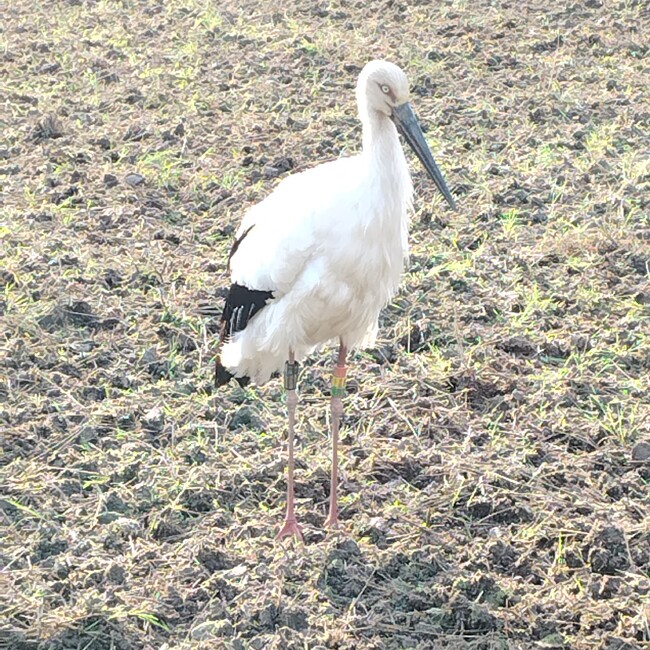 コバタアクアサービスのカバー写真