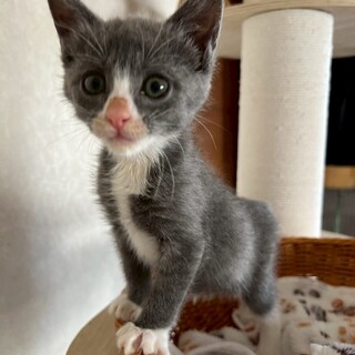 一旦停止します