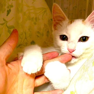 ヤンチャな甘えん坊ジェルくん！