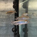 終了：ありがとうございました