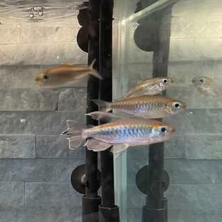 終了：ありがとうございました