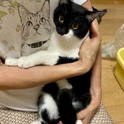 保護して5ヶ月が経ちました