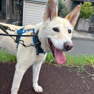 元気いっぱい！【南ちゃん】