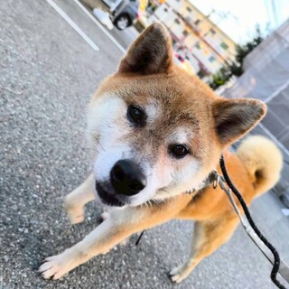 マイペースな【達也】くん