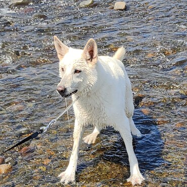 今日も（2025/9/3）も暑かったよ～！！そちらの世界でも水遊びしてる？