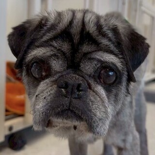 大きな手術を乗り越えました！マイペースな男の子