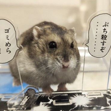 Twitterでいいねを沢山貰ったぶちころちゃん。可愛いね