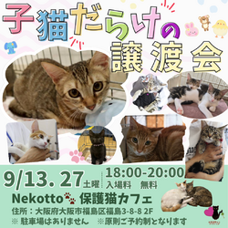 子猫だらけの譲渡会