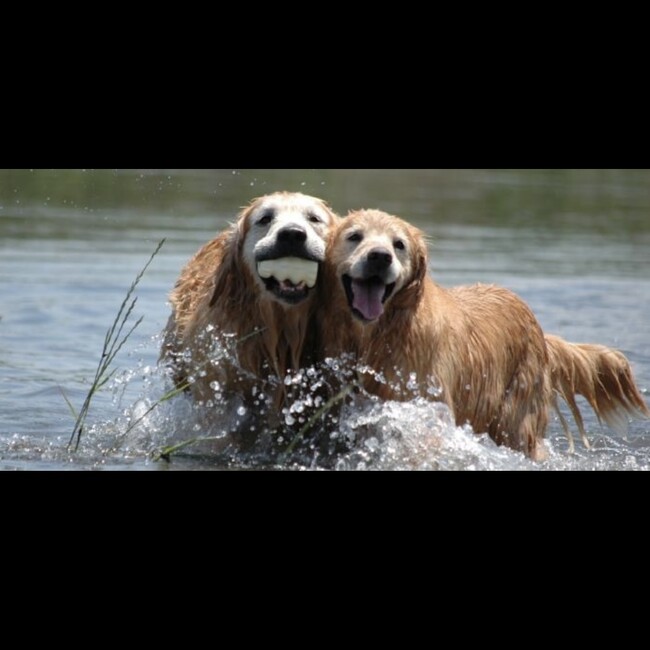 ミキサー1のカバー写真