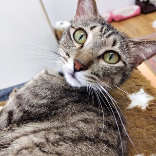 抱っこ大好き！あんばたくん！