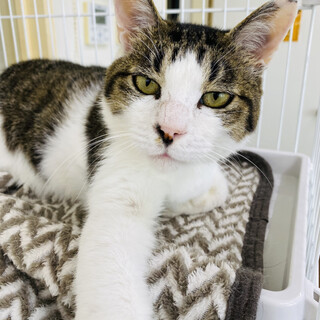 落ち着きのある甘えん坊ともぞうくん????