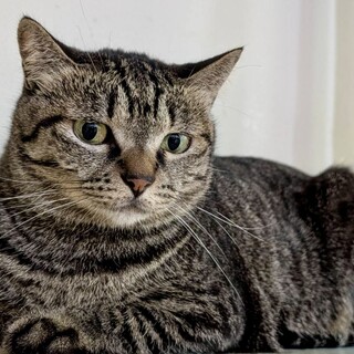 【そうこ】耳が小さくキティちゃんみたいな丸顔の女子